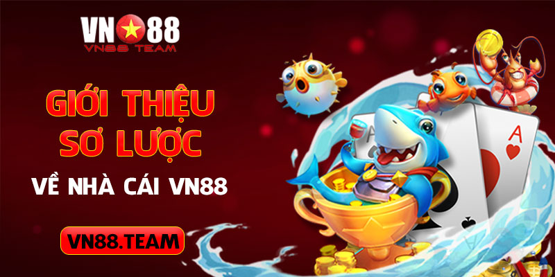 Giới thiệu sơ lược về nhà cái VN88